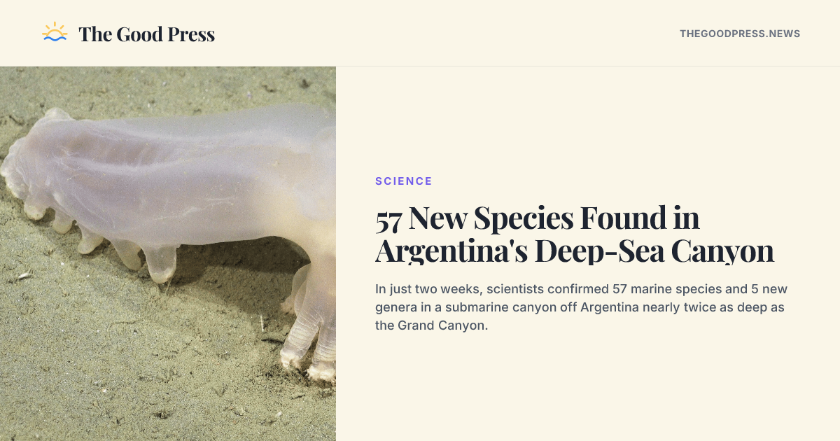 57 New Species Found in Argentina's Deep-Sea Canyon — The Good Press