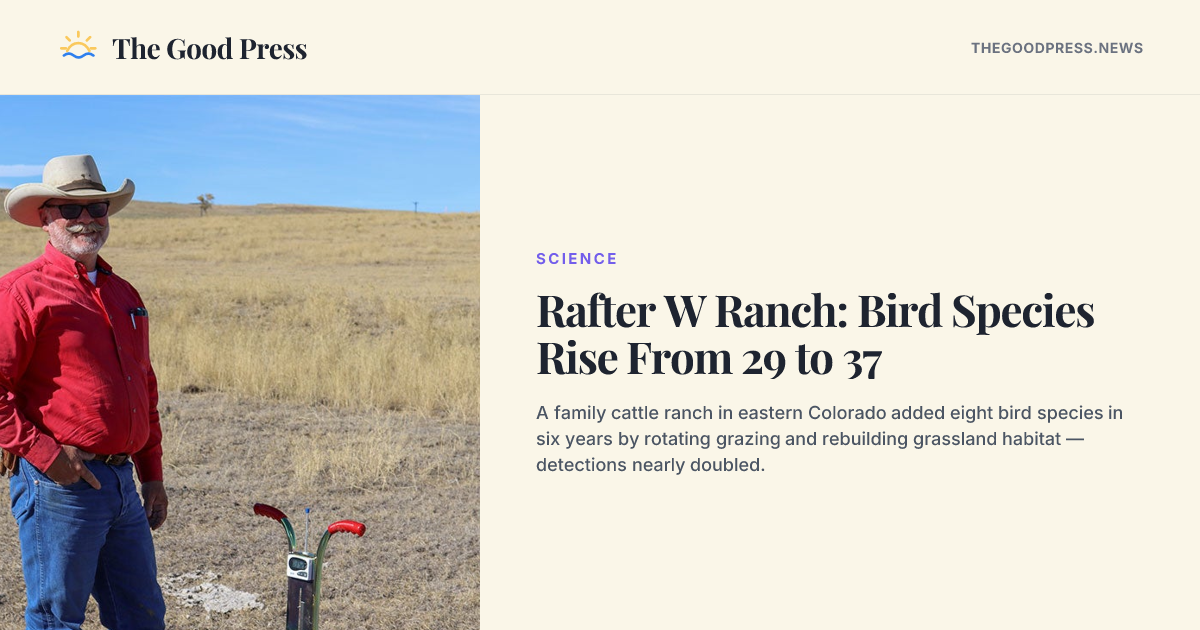 Rafter W Ranch: Bird Species Rise From 29 to 37 — The Good Press