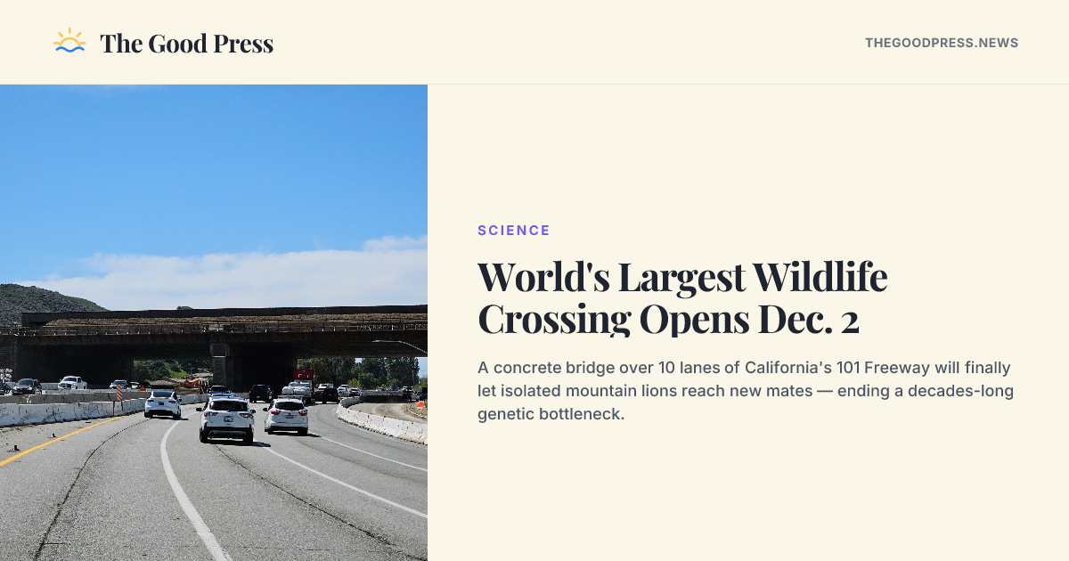 World's Largest Wildlife Crossing Opens Dec. 2 — The Good Press